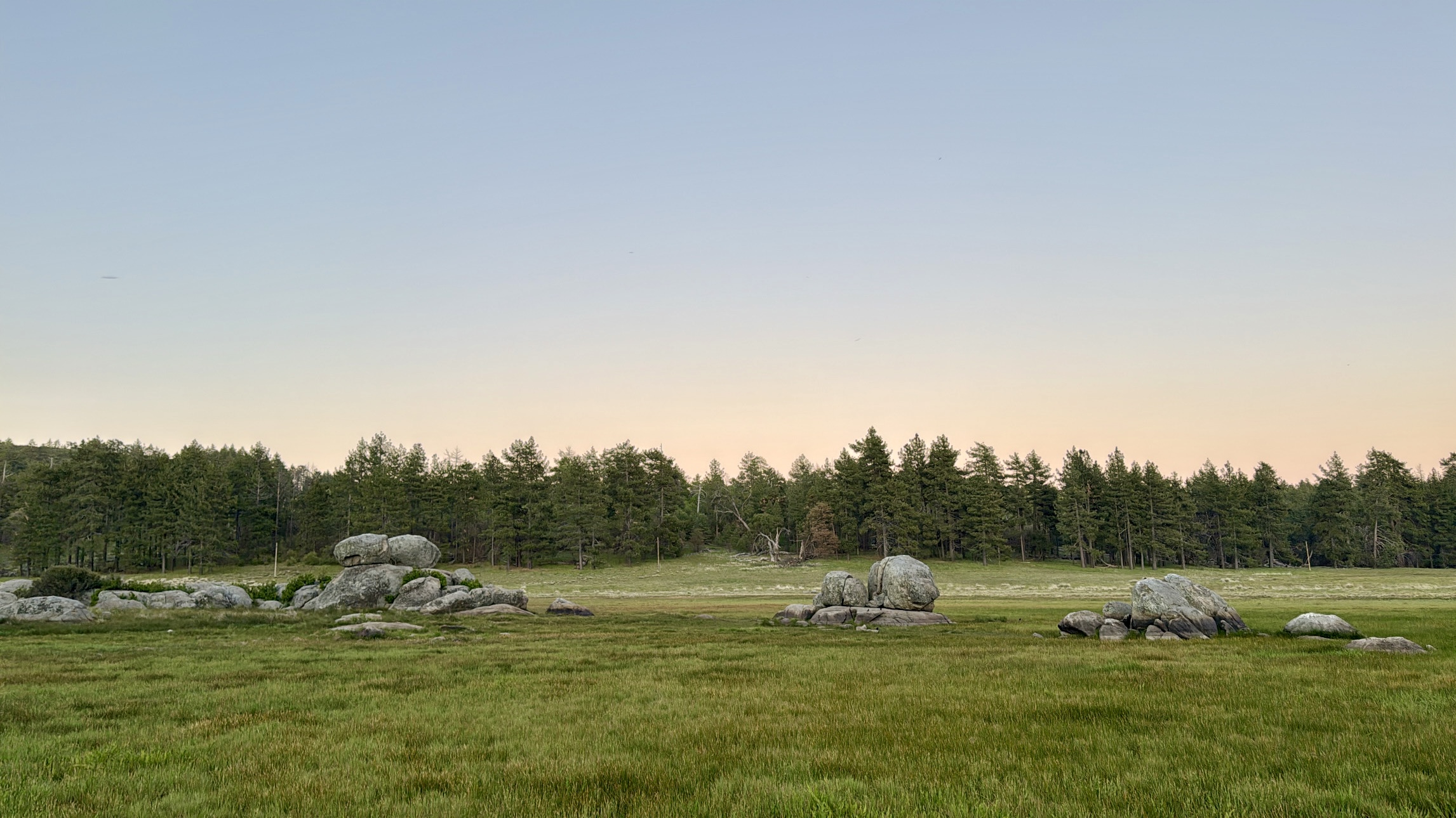 large rocks in a wetland meadow