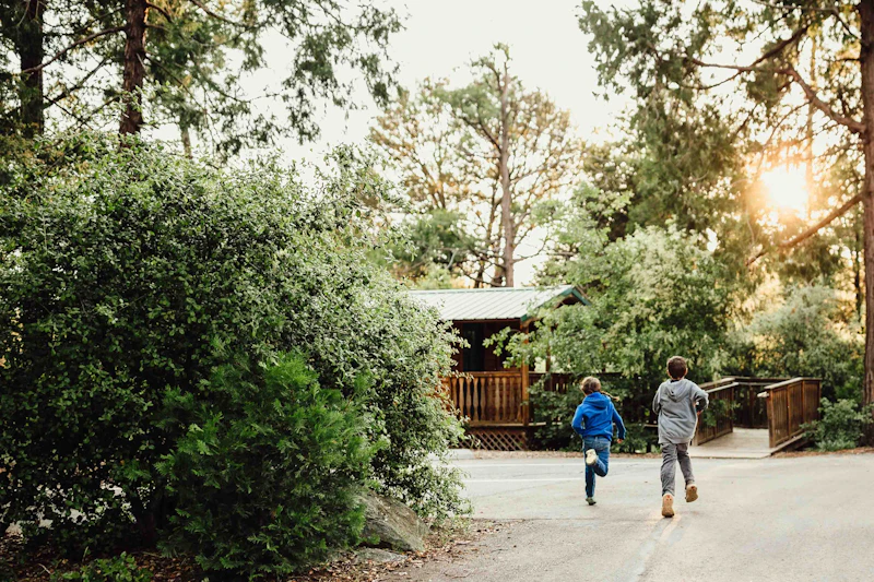 Two children run across pavement to a building in a forest
