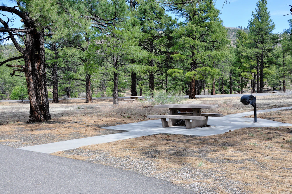 Coconino Nf Bonito Campground Usfs 2