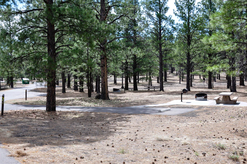 Coconino Nf Bonito Campground Usfs