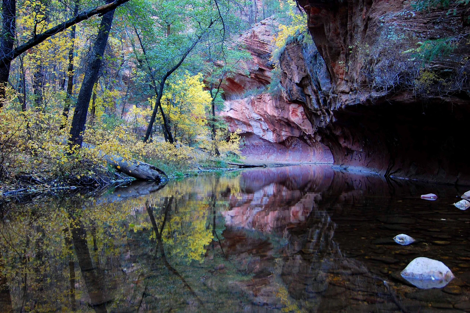 Coconino-NF Red-Rock-Secret-Mountain-Wilderness Megan-Peterson small