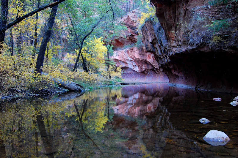 Coconino-NF Red-Rock-Secret-Mountain-Wilderness Megan-Peterson small