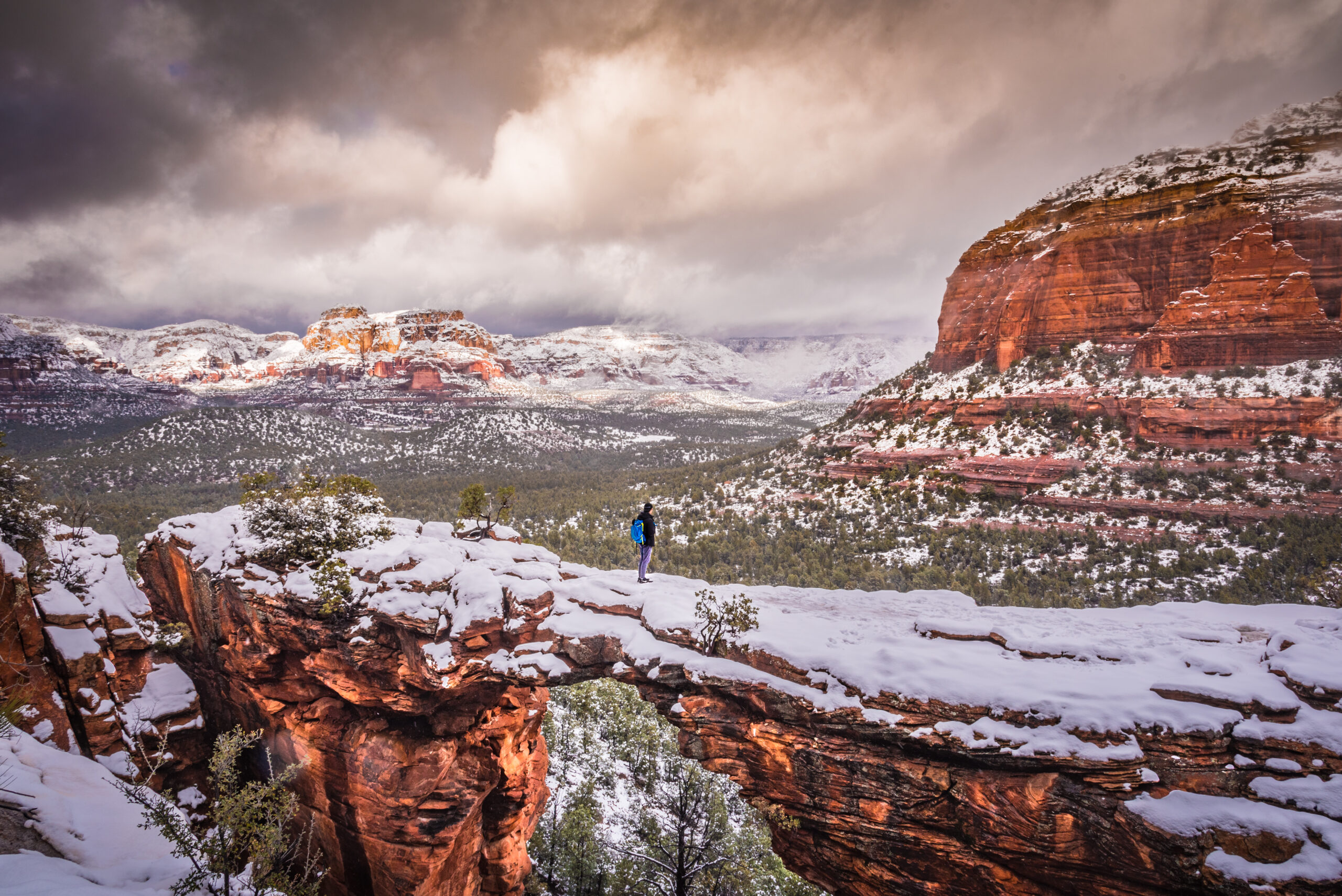 Coconino National Forest — National Forest Foundation