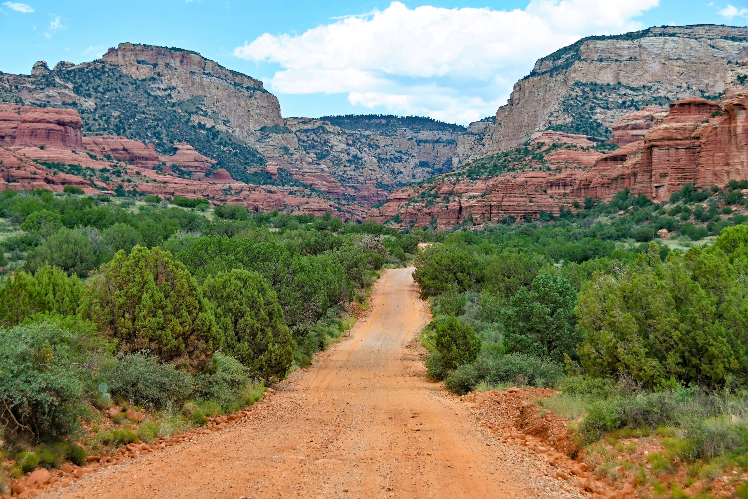Coconino National Forest — National Forest Foundation