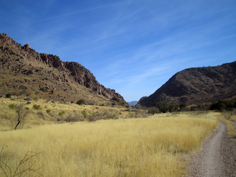 Coronado-NF Horseshoe-Canyon Brad-Emerson