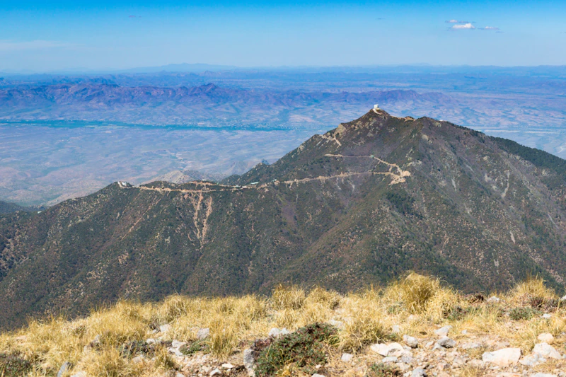 View of Madera Canyon.