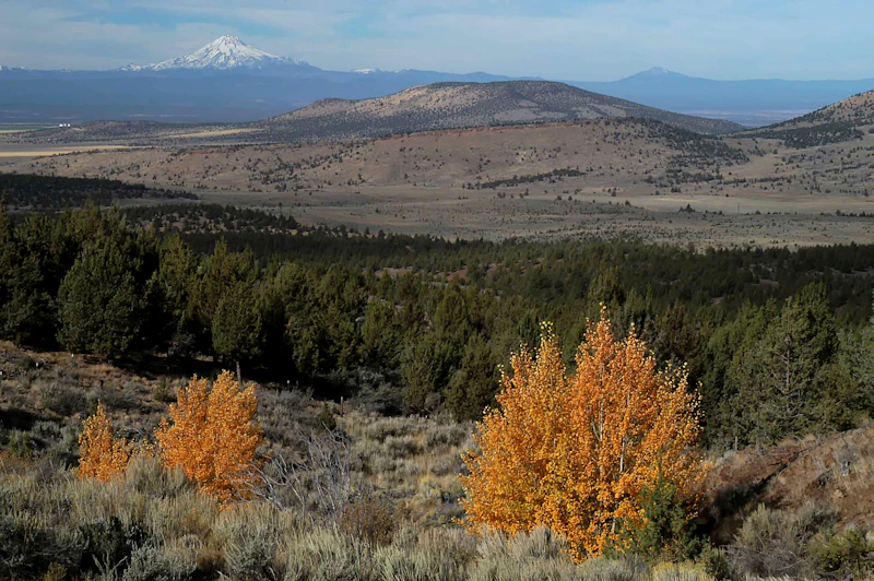 Crooked-River-NG Fall-Looking-West-from-Grey-Butte USFS
