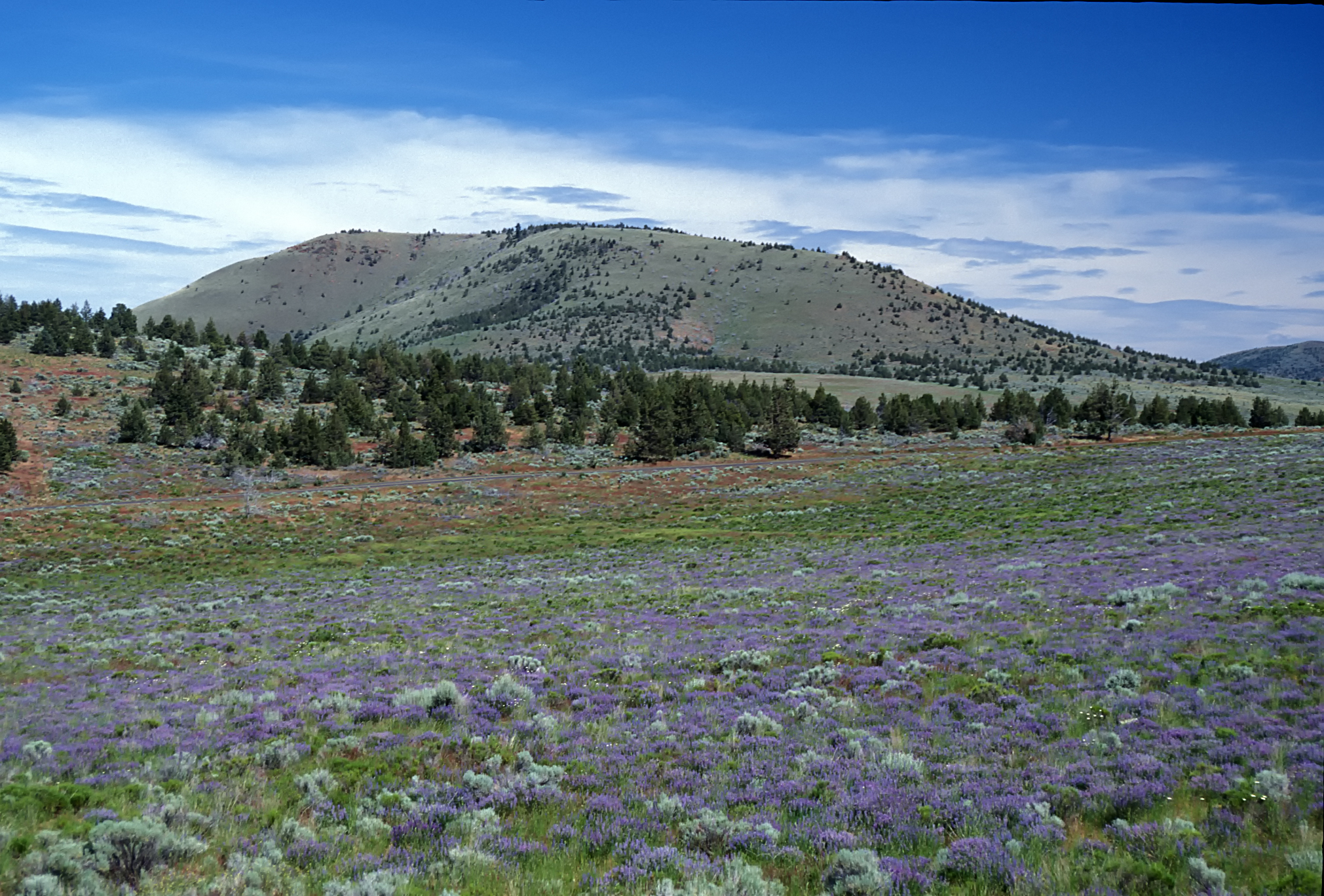 Crooked River National Grasslands — National Forest Foundation