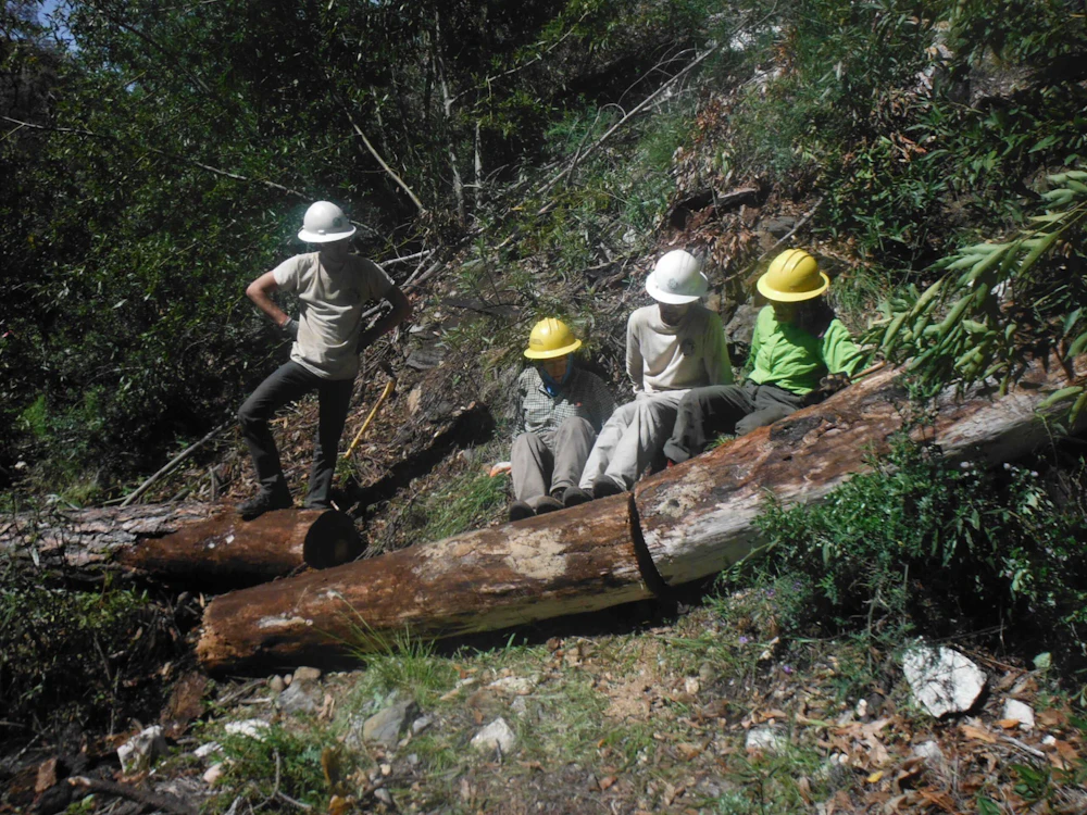 Cross-Cut-team-removes-a-log-from-the-South-Fork-Trail-Photo-by-Trevor-Willits