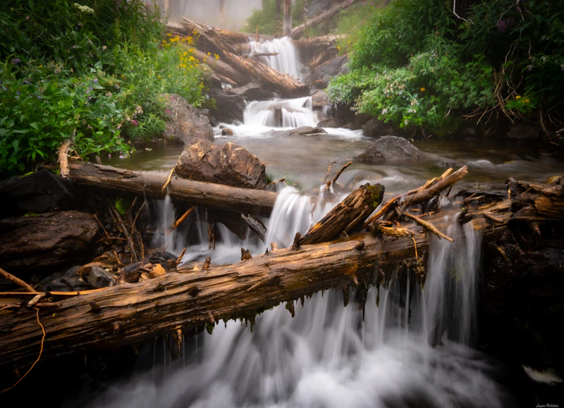 A small waterfall runs down a log-jammed creek during a foggy day.