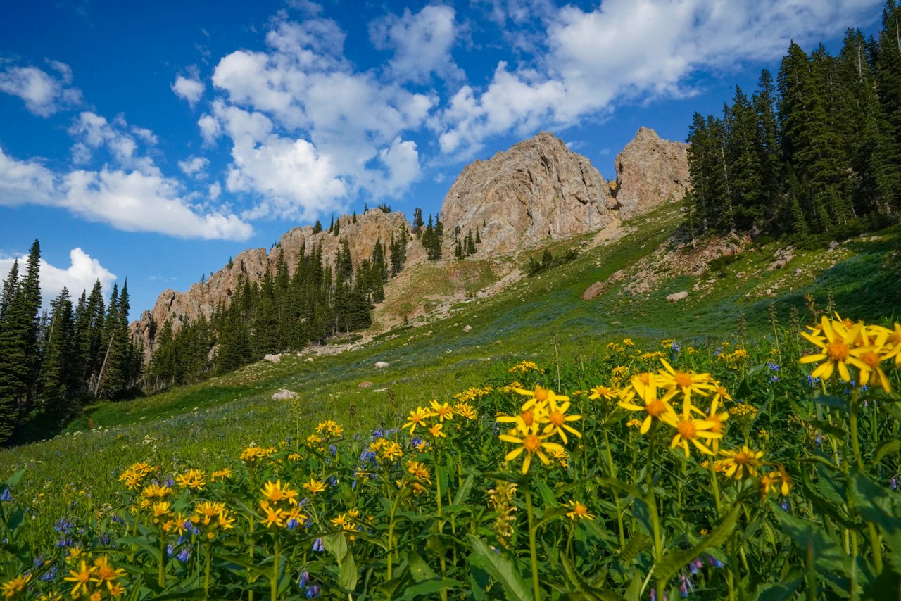 Custer Gallatin National Forest — National Forest Foundation