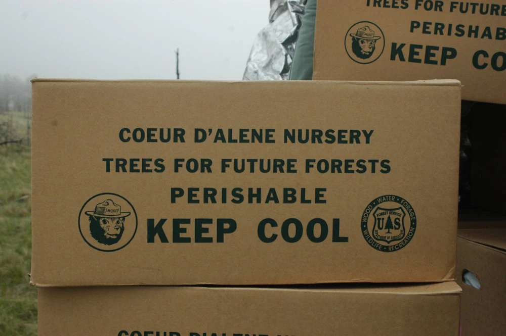 Custer-NF-Planting-5 08-010