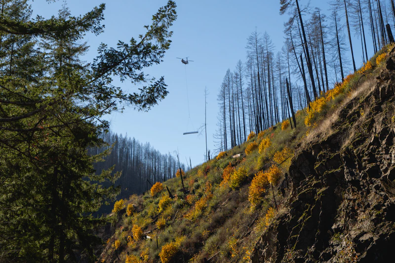 helicopter carrying a bridge to be installed in the forest