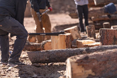 Crews split logs into firewood.