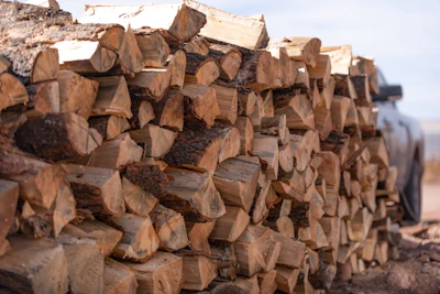 Pile of firewood.