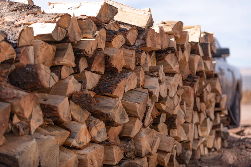 Pile of firewood.