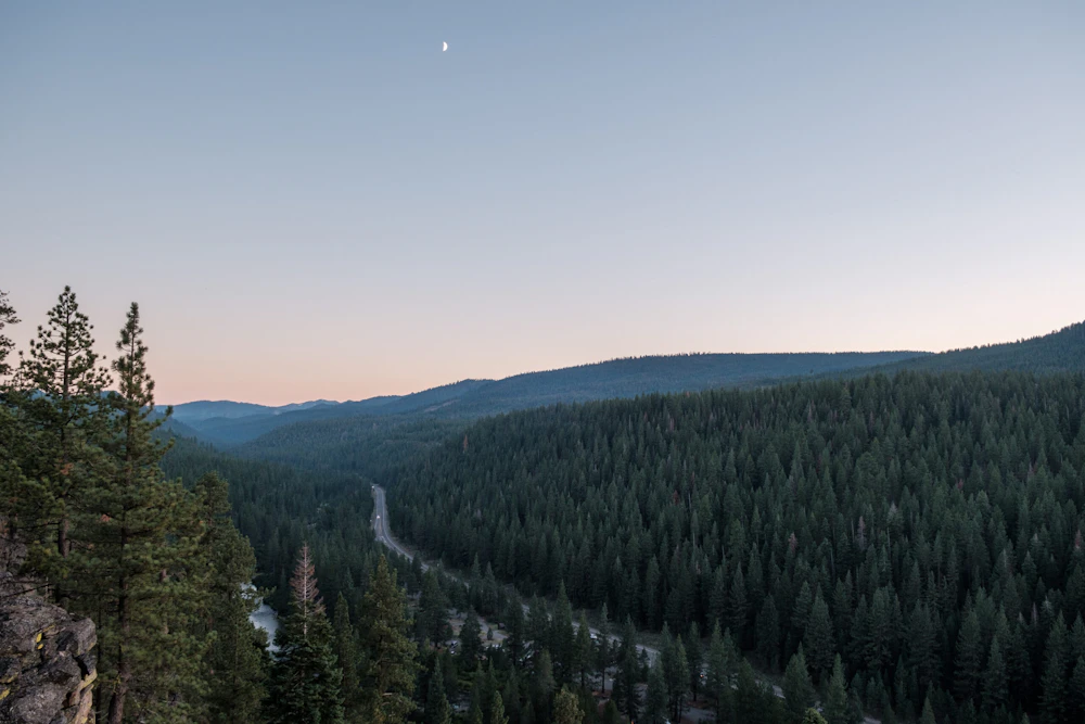 Dan Alvey Cabin Creek Project 2