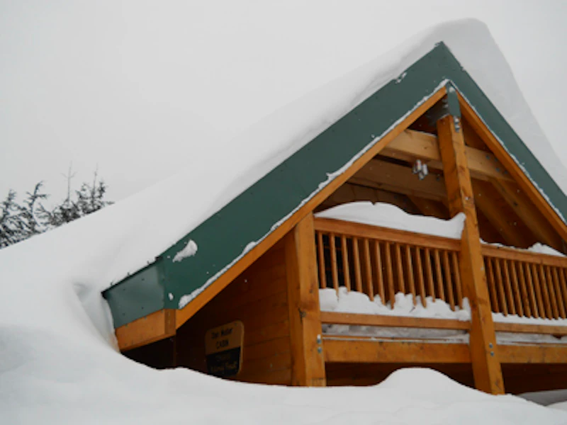 Dan-Moller-cabin