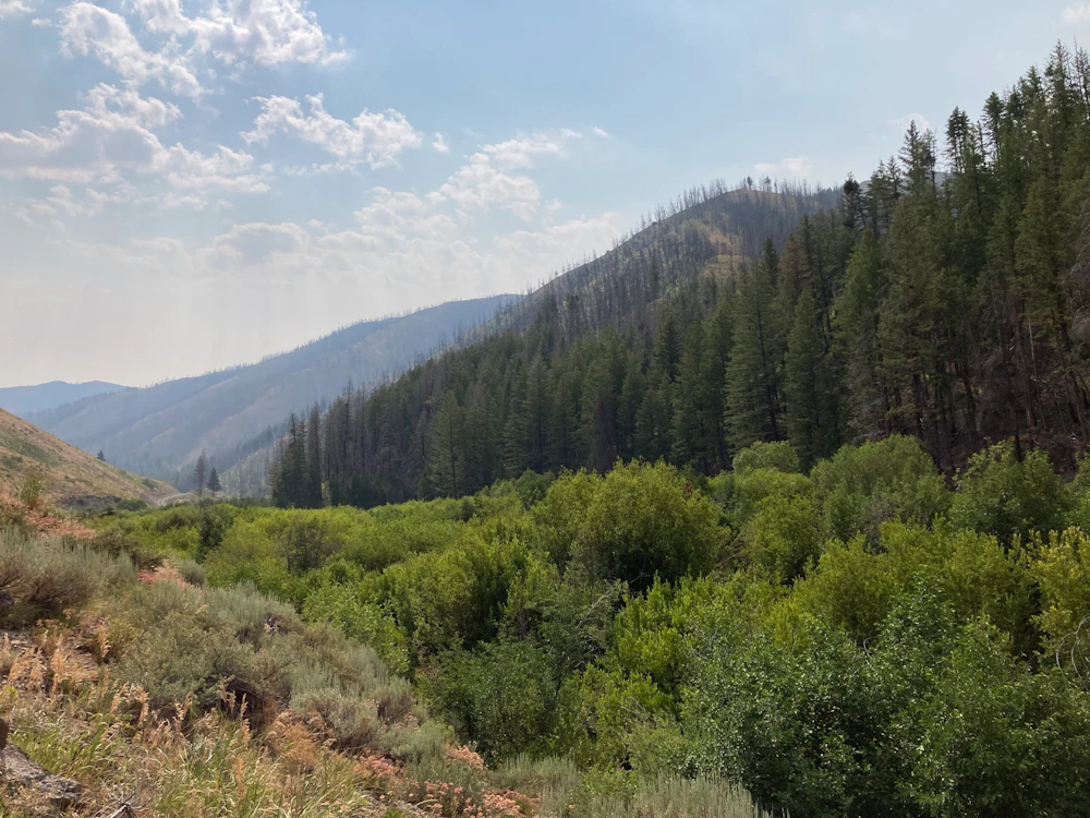 Deer Creek Restoration with Burned Area Behind
