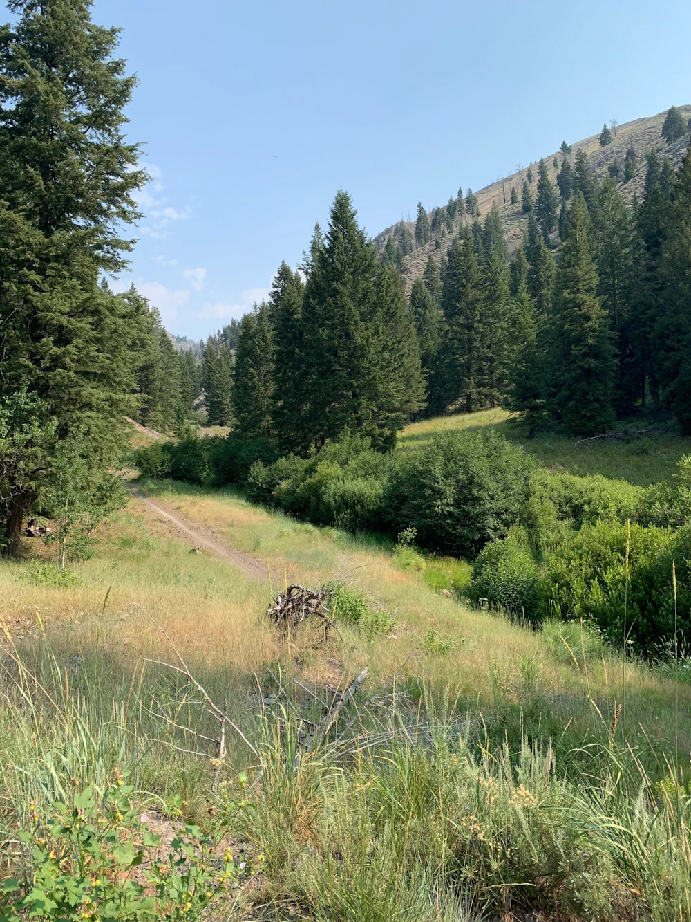 Deer Creek Trail