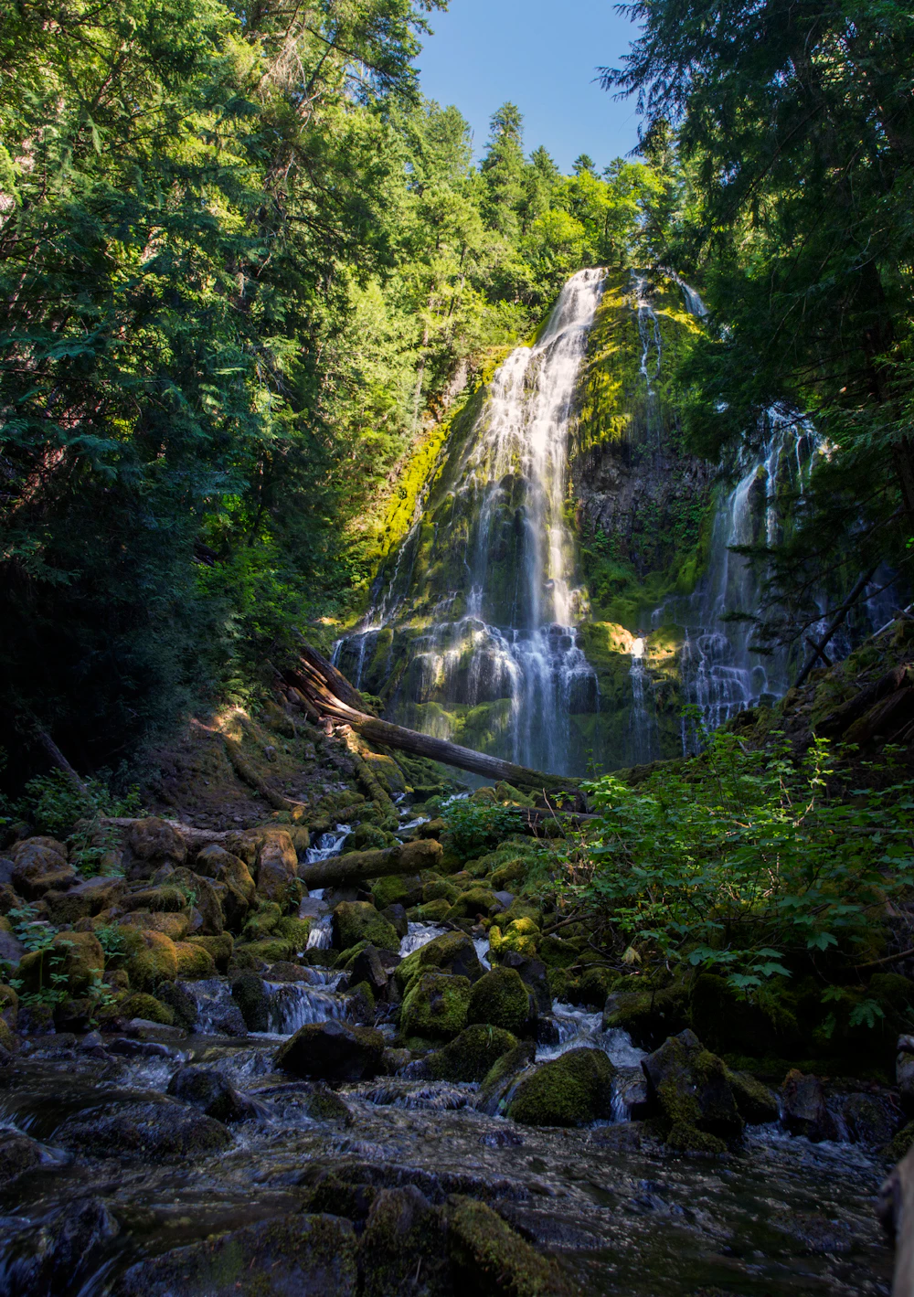 Deschutes-NF Proxy-Falls Thomas-Shahan-McKenzie-Santium-byway