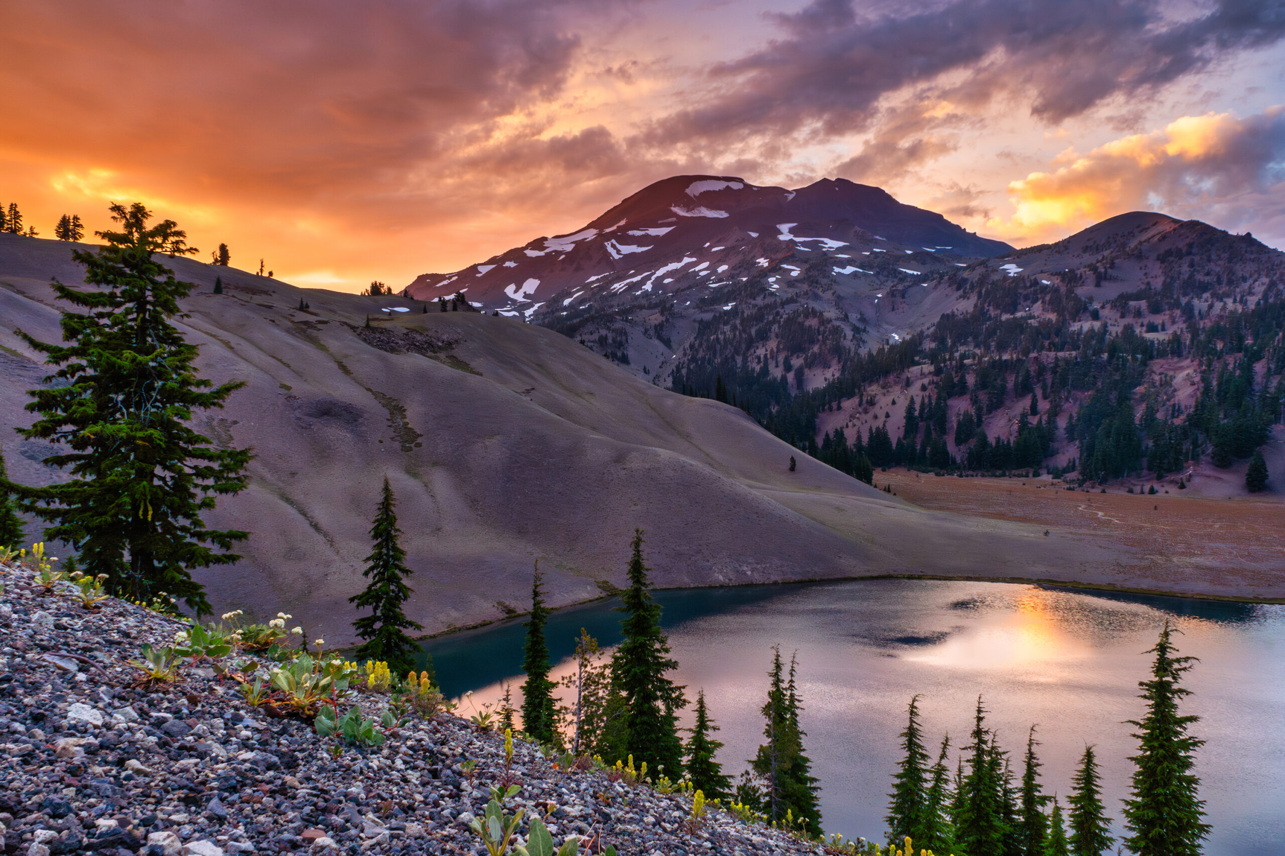 SukeGrassRoots　FOREST Deschutes National Forest — National Forest Foundation