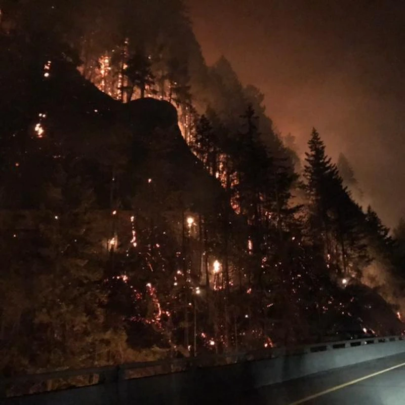 Eagle Creek Fire Night