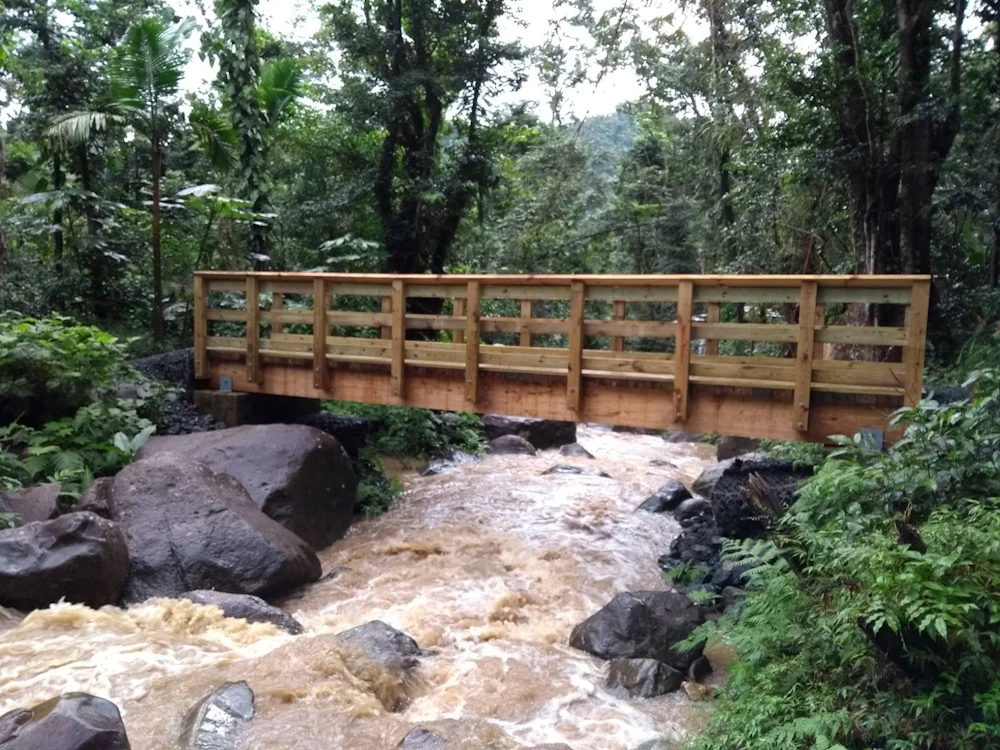 El Yunque Repaired Bridge