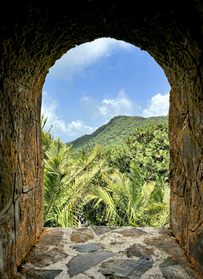 Forest view from a stone window.