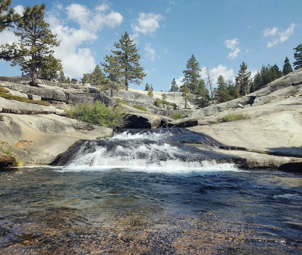 Eldorado Nf Annie Ujifusa