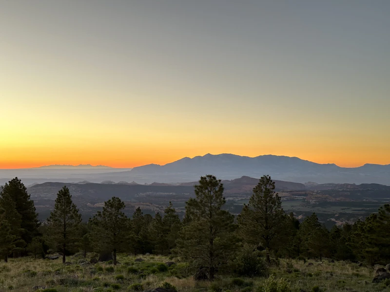 Sunrise over the forest.