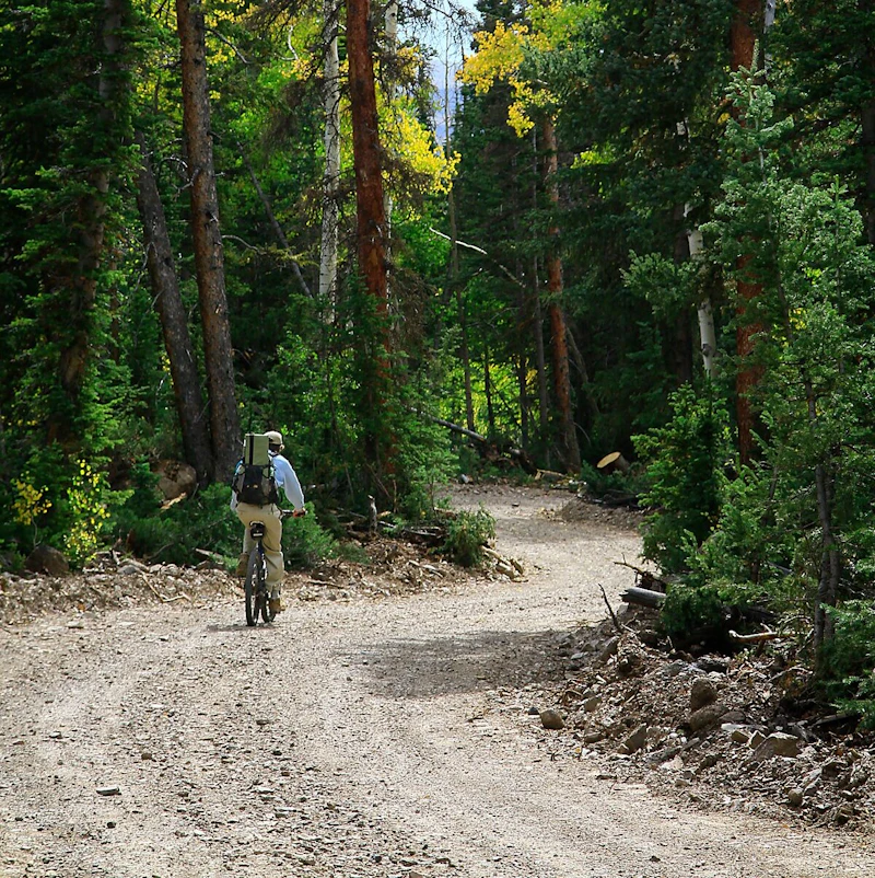 Biking through the forest.