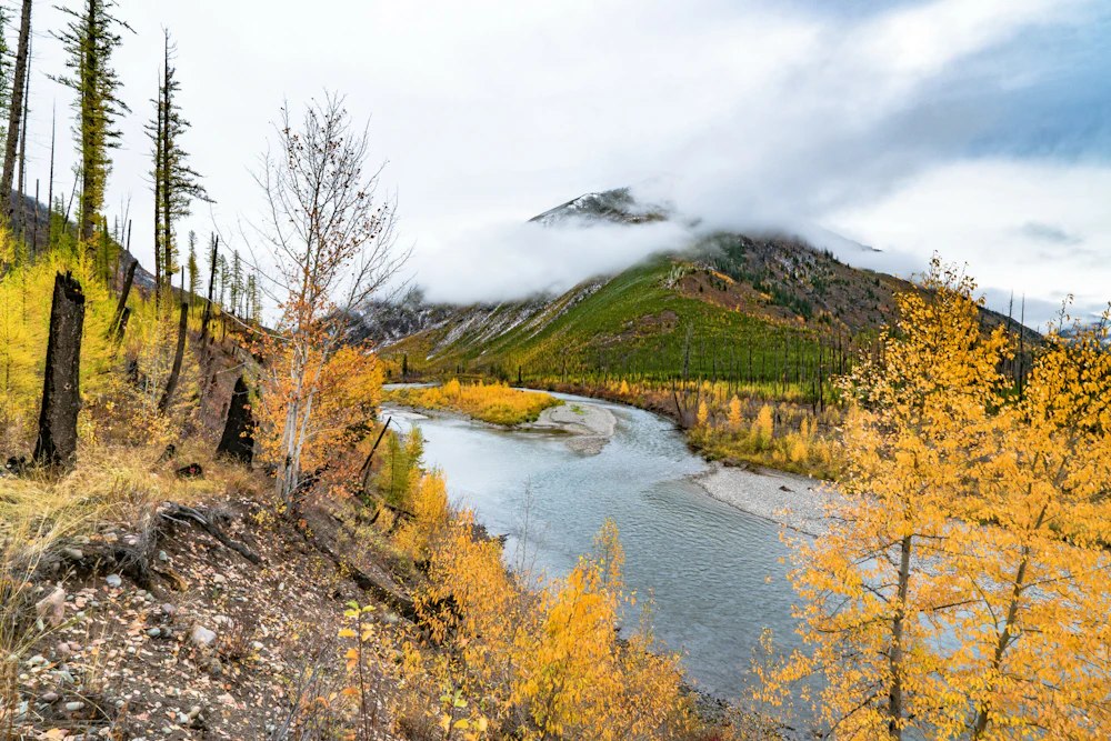 Flathead NF Fall2 USFS