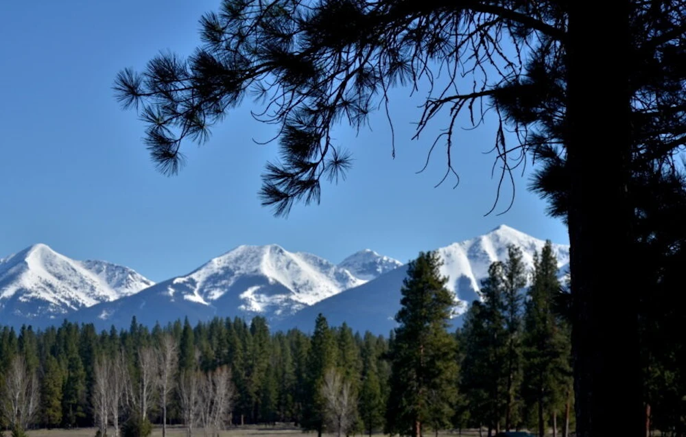Flathead National Forest MT