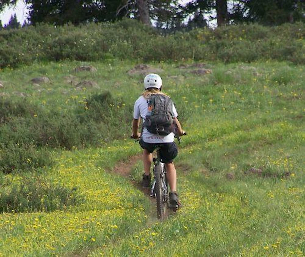 FlowingParktrail GMUG