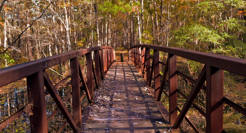 Trail bridge.