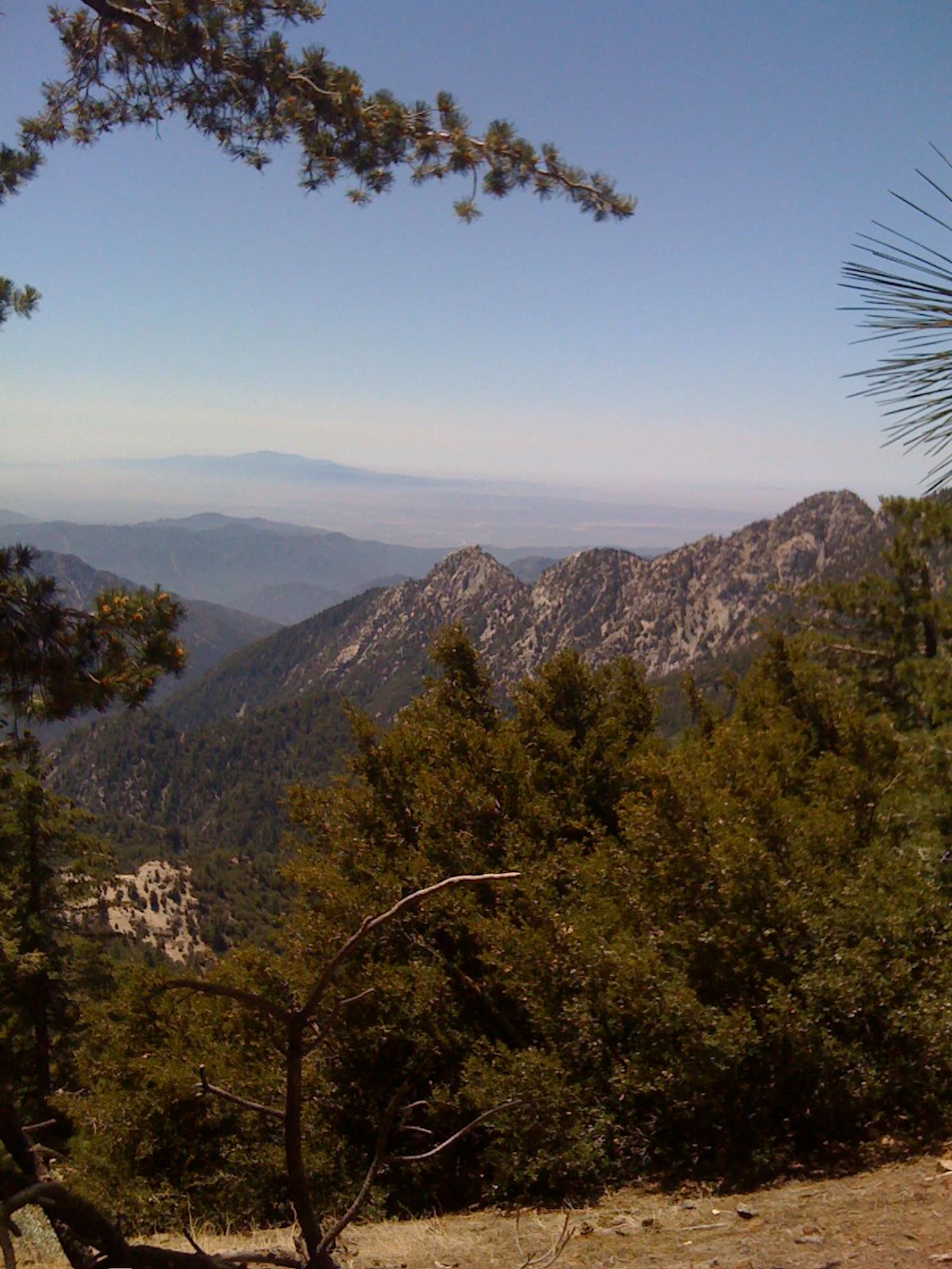 Friends-of-the-Angeles-5