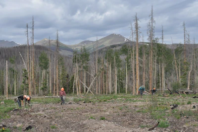 GMUG tree planters