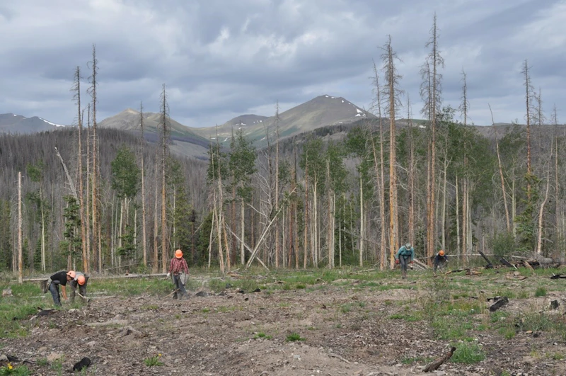 GMUG tree planters