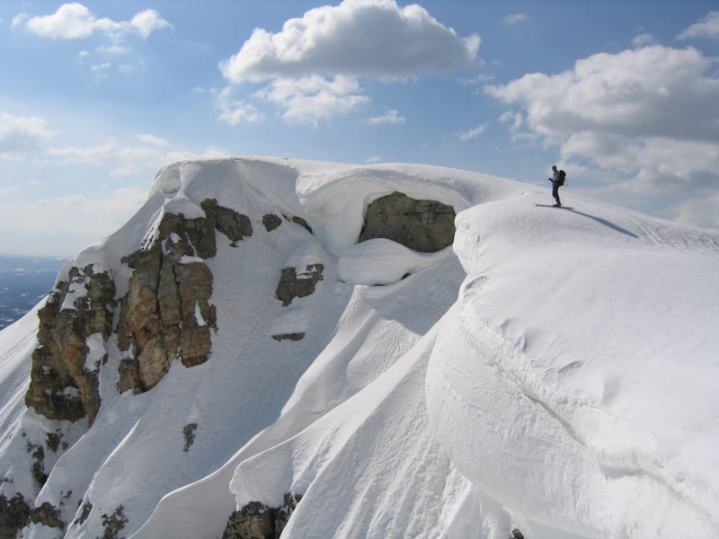 Gallatin-NF Lionhead-Ridge USFS-Karl-Birkeland