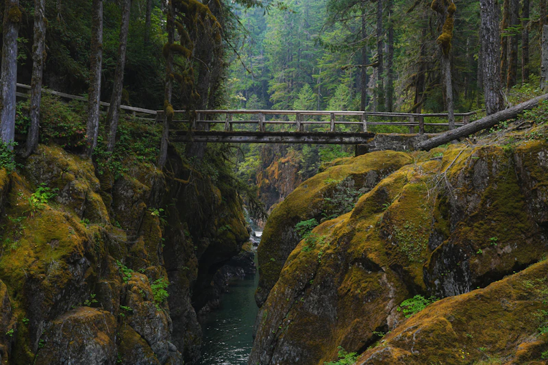 Trail bridge over a creek.