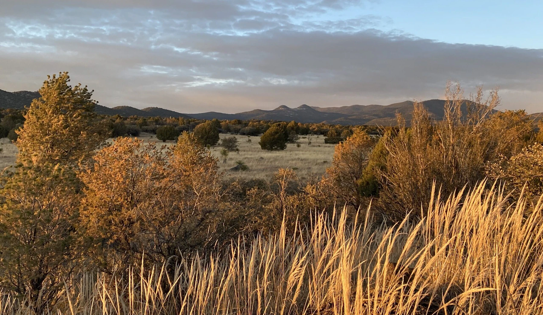 View of mountains in the distance.