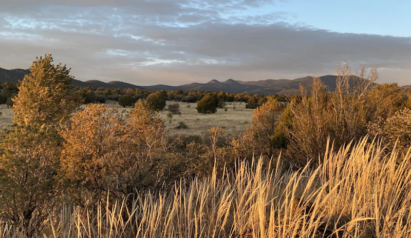 View of mountains in the distance.