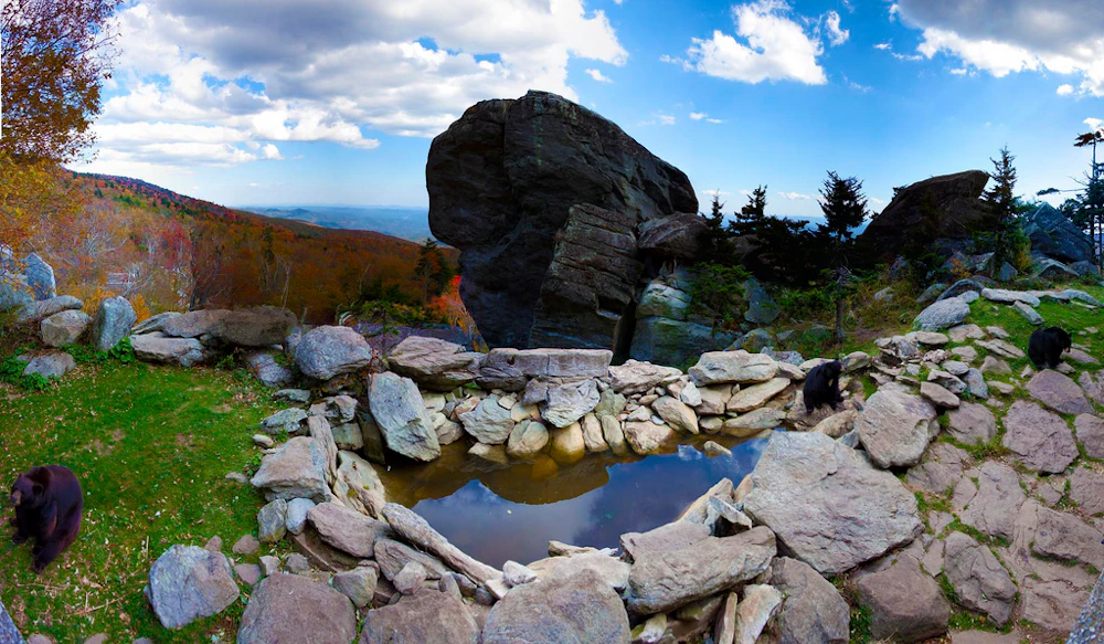 Grandfather Trail