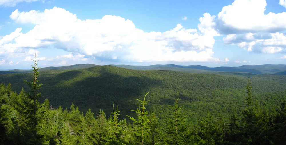 Green-Mountain-NF Homer-Stone-Mountain cm195902-flickr-creative-commons