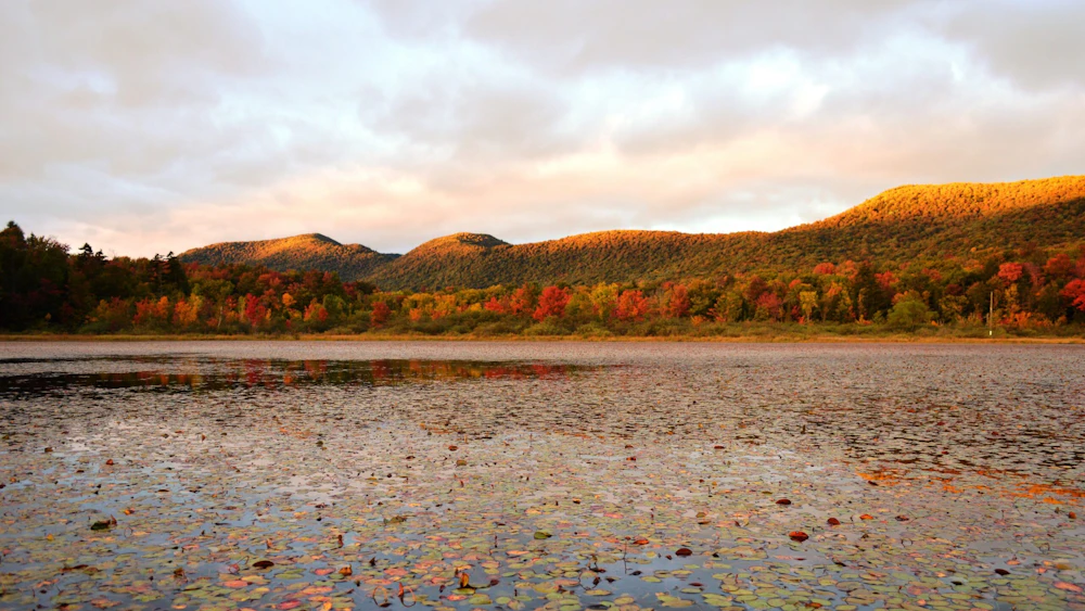 Green-Mountain-NF Lefferts-Pond USFS