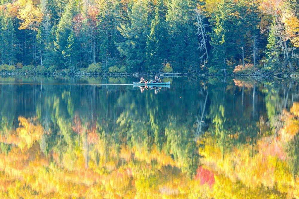 Grout Pond Reflection Tara Schatz