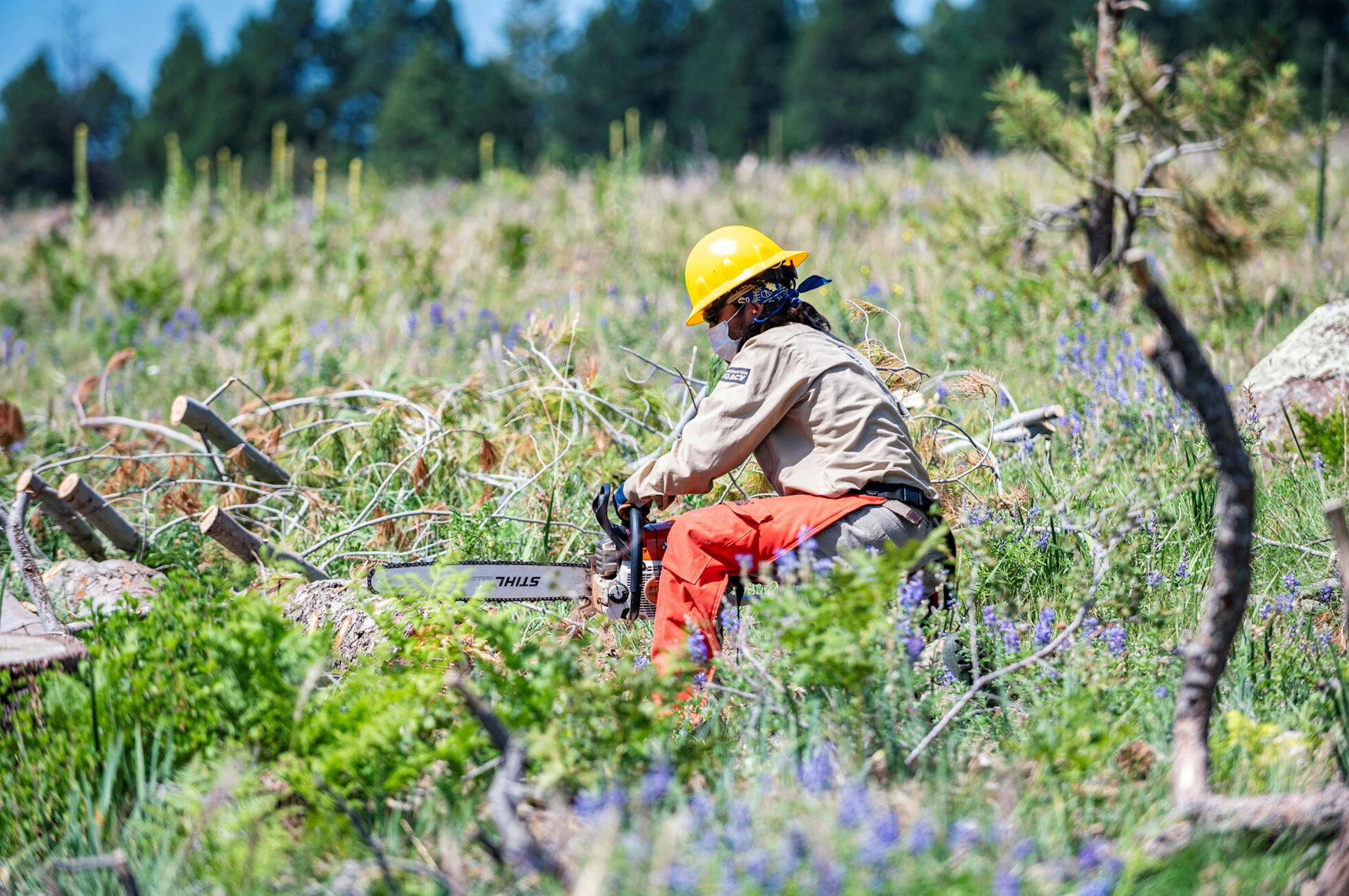 Person using a chainsaw to cut firewood.