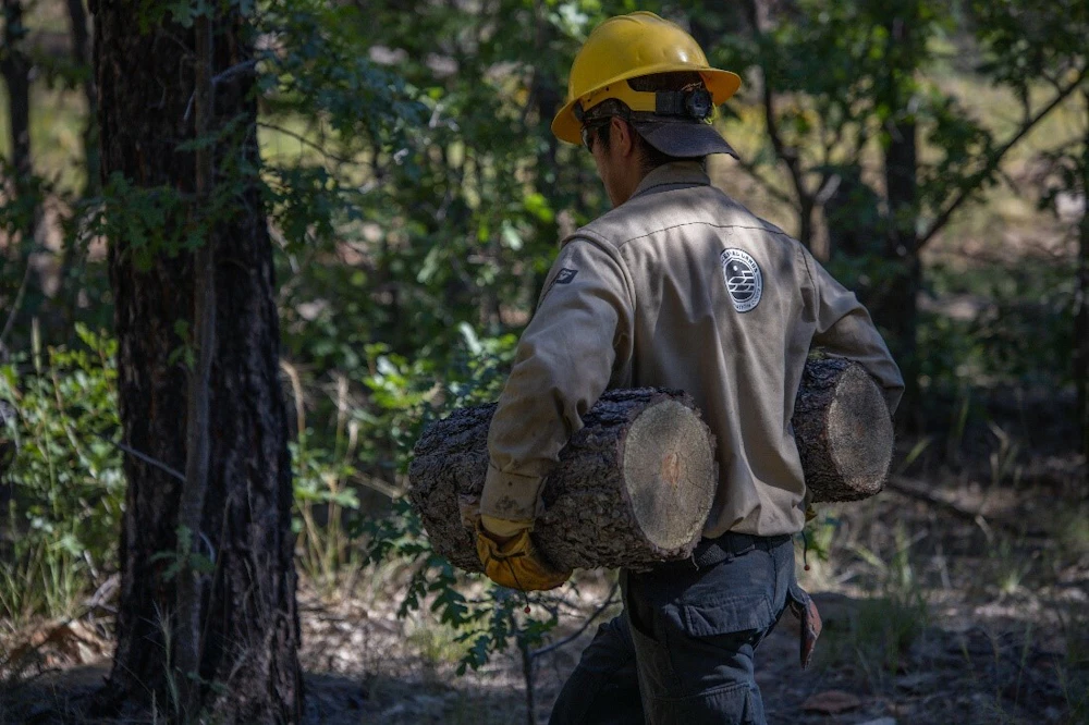 Man carrying firewood.