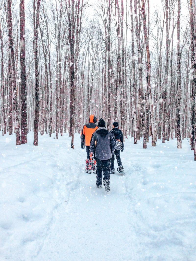 Snowing through the woods.
